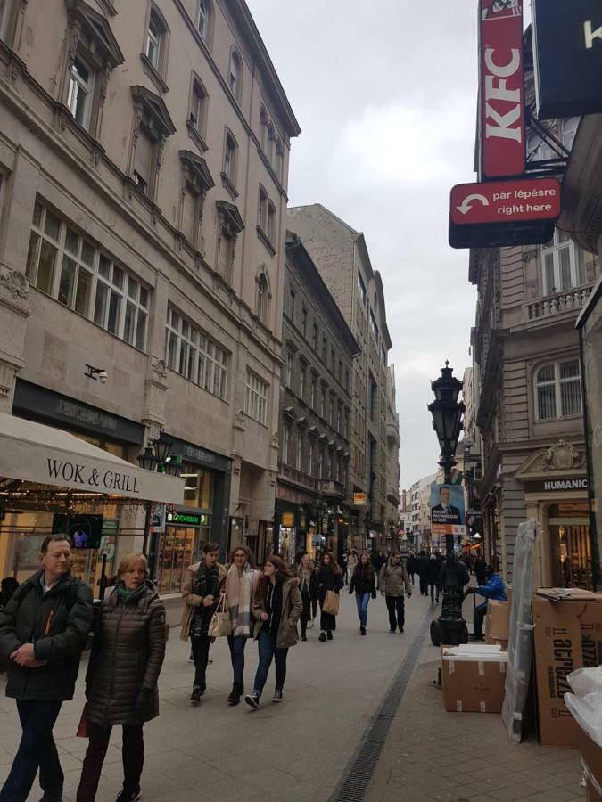 Choosy City Flat Budapest Exteriör bild